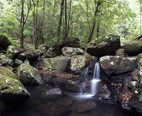 Kangaroo River - South Australia Travel 0
