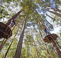 TreeTop Adventure Park Central Coast - South Australia Travel