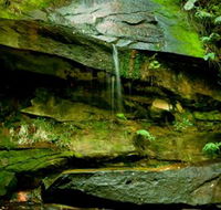 Strickland State Forest - South Australia Travel