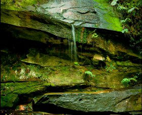 Strickland State Forest - South Australia Travel 0