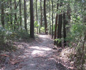 Strickland State Forest - South Australia Travel 2