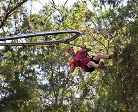 TreeTops Crazy Rider - South Australia Travel 1