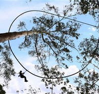 TreeTops Crazy Rider - South Australia Travel