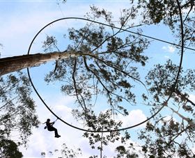 TreeTops Crazy Rider - South Australia Travel 0