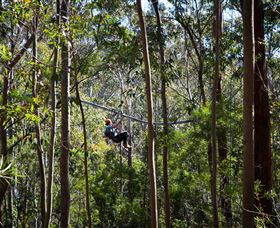 TreeTops Crazy Rider - South Australia Travel 3