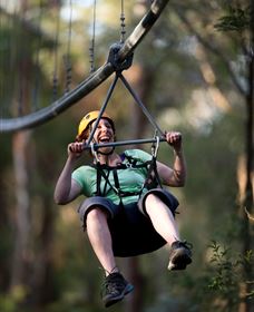TreeTops Crazy Rider - South Australia Travel 2