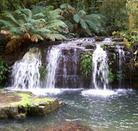 Barrington Tops National Park Walks - South Australia Travel