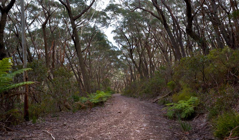 Yadboro NSW South Australia Travel