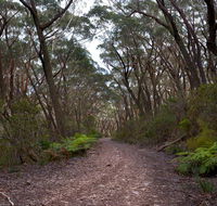 Budawang National Park - South Australia Travel