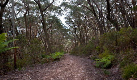 Budawang National Park - South Australia Travel 0
