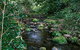 Macquarie Pass National Park - thumb 0