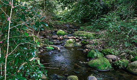 Macquarie Pass National Park - South Australia Travel 0