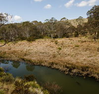 Werrikimbe National Park - South Australia Travel