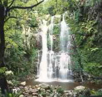 Budderoo National Park - The Falls Walk - South Australia Travel