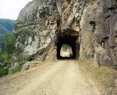Book Grafton NSW Attractions South Australia Travel South Australia Travel