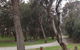Tuggerah Lakes Cycleway - thumb 2