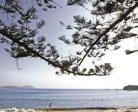 Terrigal Beach - South Australia Travel 0