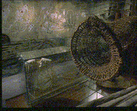 Australian Museum - South Australia Travel 3