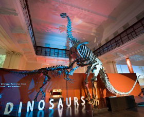 Australian Museum - South Australia Travel 0