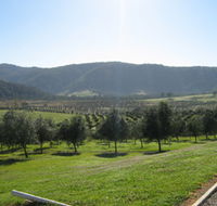 Hastings Valley Olives - South Australia Travel