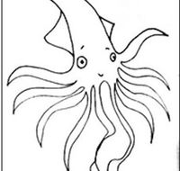 Squid Studio - South Australia Travel