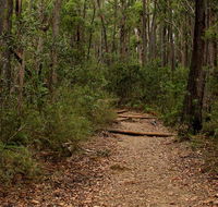 Pigeon House Mountain Didthul walking track - South Australia Travel