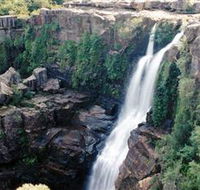 Minnamurra Rainforest Centre Budderoo National Park - South Australia Travel