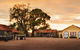Tyrrells Vineyards - thumb 2