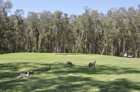 Emerald Downs Golf Course - South Australia Travel 4