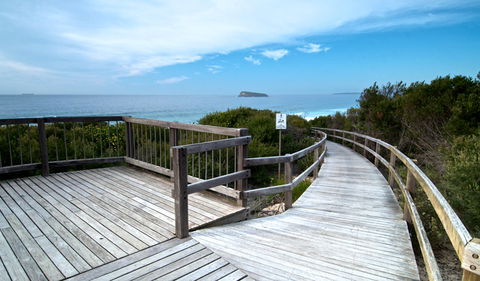 Tea Tree Picnic Area And Lookout - South Australia Travel 0