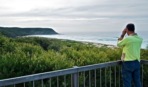 Tea Tree Picnic Area And Lookout - South Australia Travel 2