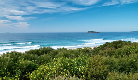 Tea Tree Picnic Area And Lookout - South Australia Travel 3