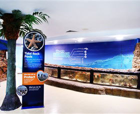 Sea Life Sunshine Coast - South Australia Travel 2