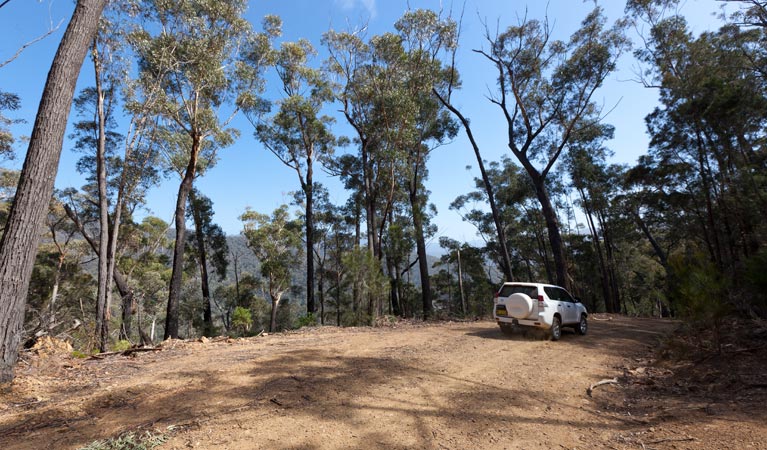 Wadbilliga NSW South Australia Travel