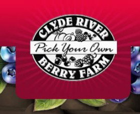 Clyde River Berry Farm - South Australia Travel 0