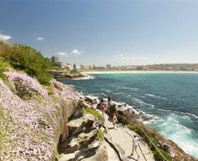 Bondi To Coogee Coastal Walk - South Australia Travel 3