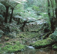 The Corn Trail Walk - South Australia Travel