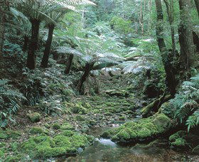 The Corn Trail Walk - South Australia Travel 0