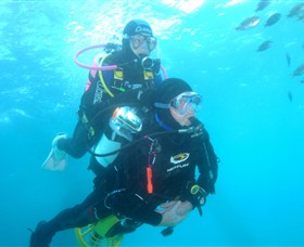Shellharbour Scuba & Photography Centre - South Australia Travel 1