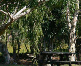 Casino NSW South Australia Travel