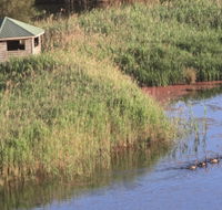 Spring Creek Bird Hide - South Australia Travel