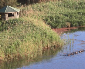 Spring Creek Bird Hide - South Australia Travel 0
