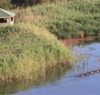 Spring Creek Wetlands Walk - South Australia Travel