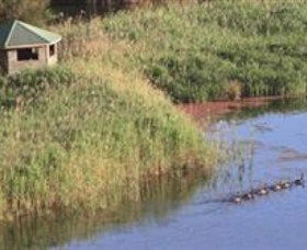 Spring Creek Wetlands Walk - South Australia Travel 0