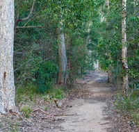 Delta track - South Australia Travel