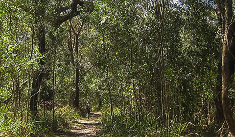 Sand Track Walk (south) - South Australia Travel 0