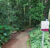 Walk with the Birds boardwalk - South Australia Travel