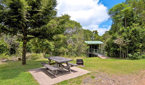 Antarctic Beech Picnic Area - South Australia Travel 1