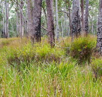 Narrawallee Inlet walking track - South Australia Travel