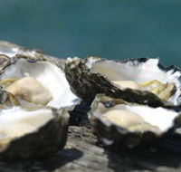 Jim Wilds Oyster Service - South Australia Travel